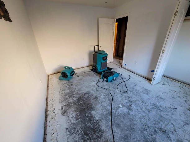 Best Flooded house restoration  in Wye, MT