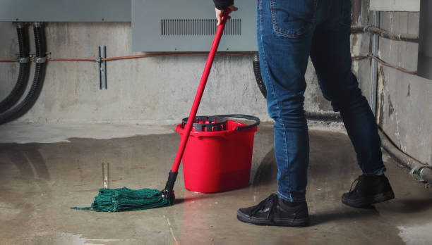Best Mold removal after water damage  in Wye, MT