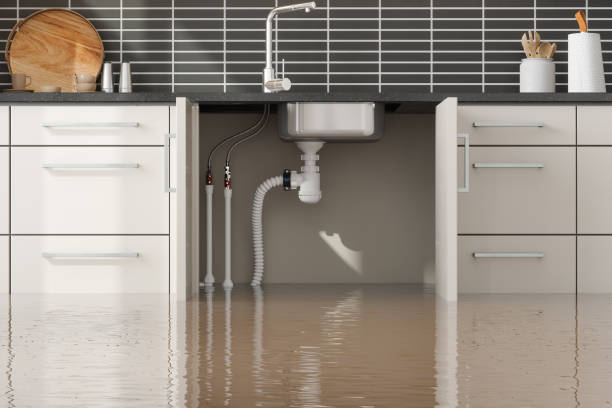 Best Residential water damage restoration  in Wye, MT