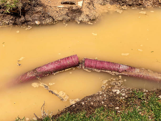 Best Basement water damage restoration  in Wye, MT