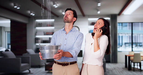 Best Carpet water damage restoration  in Wye, MT